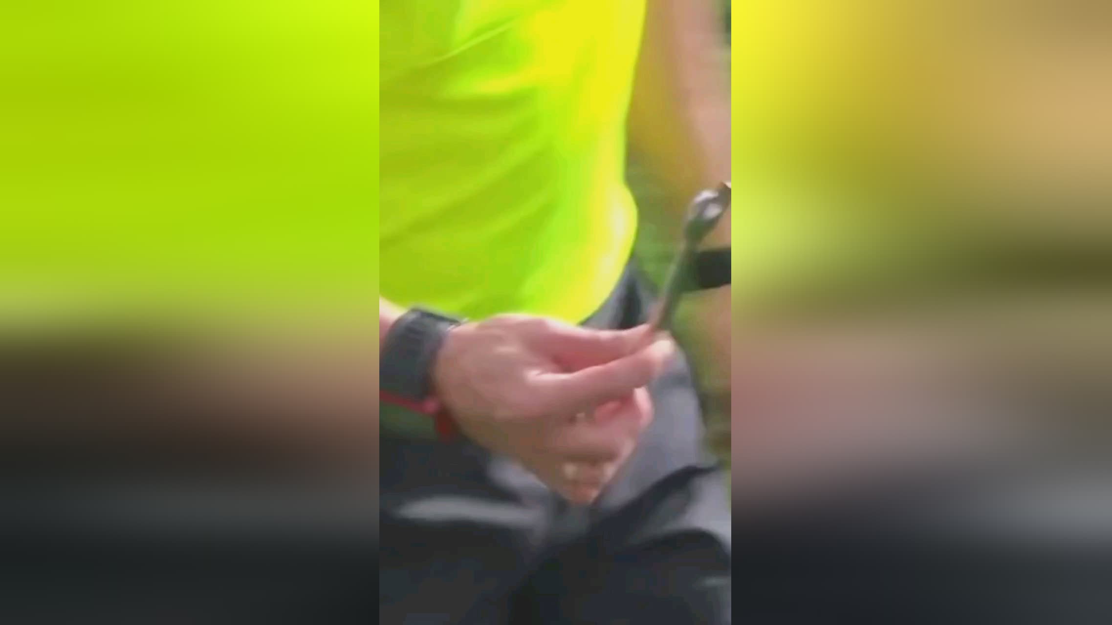 得胜的